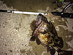 Img_0907_medium