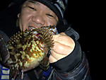 Img_0911_medium