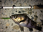 Img_0912_medium