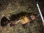 Img_0927_medium_2