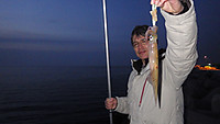 Imgp0719
