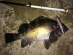 Img_1024_medium
