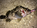 Img_1030_medium