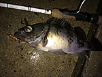 Img_1047_medium