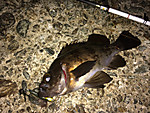 Img_1093_medium