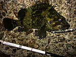 Img_1095_medium