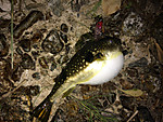 Img_1107_medium