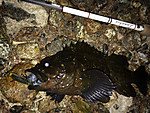 Img_1110_medium
