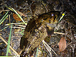 Img_1111_medium