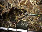 Img_1112_medium