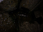 Img_1114_medium