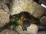 Img_1116_medium