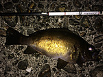 Img_1123_medium