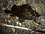 Img_1129_medium
