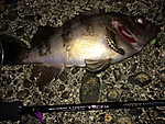 Img_1132_medium