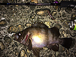 Img_1134_medium