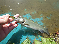 Imgp0836