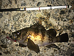 Img_1151_medium