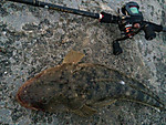 Img_1225_medium_2