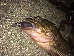Img_1235_medium
