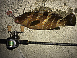 Img_1243_medium