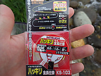 Imgp1020