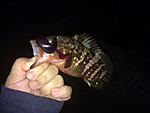 Img_1257_medium