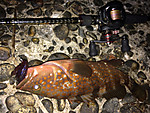 Img_1258_medium
