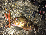 Img_1286_medium