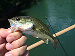 Img_1310_medium