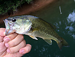 Img_1313_medium
