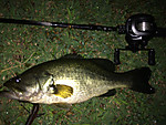 Img_1319_medium