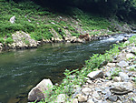 Img_1321_medium