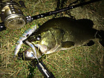 Img_1335_medium