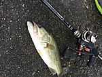 Img_1447_medium