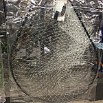 Img_1456_medium