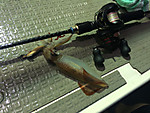 Img_1467_medium