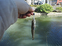Dscf0144