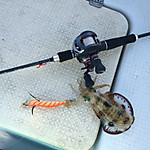 Img_1534_medium