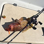 Img_1542_medium
