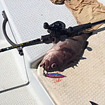 Img_1545_medium