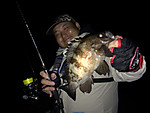 Img_1560_medium