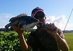 Photo_2