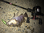 Img_1667_medium