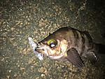 Img_1714_medium
