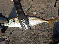 Imgp1558_2