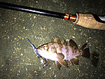 Img_1724_medium