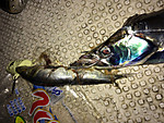 Img_1728_medium