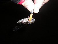 Imgp1679