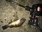 Img_1785_medium